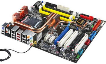 asus P5K
