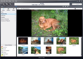 J. River Media Center v.12.0.494