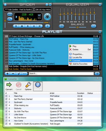 Spider Player Basic v.2.3.1.1