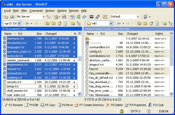 WinSCP v.4.1.3 Beta