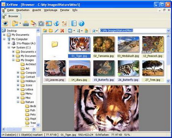 XnView v.1.93.6 final