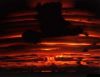 wallpaper name = Explosions wallpaper 3
wallpaper name=Explosions04.jpg
wallpaper size=13KB
wallpaper Dimensions=514x400
wallpaper Date added=Aug 02, 2006 Explosions04.jpg
