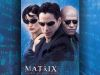 wallpaper name = Matrix wallpaper 12
wallpaper name=Matrix12.jpg
wallpaper size=95KB
wallpaper Dimensions=1024x768
wallpaper Date added=Aug 02, 2006 Matrix12.jpg